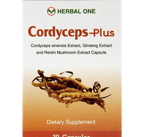 Капсулы Кордицепс плюс Herbal One 30 капсул