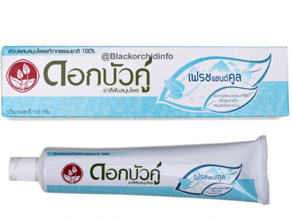 Растительная паста Fresh and Cool «Свежесть и Прохлада» Twin Lotus 40, 100 или 150 гр