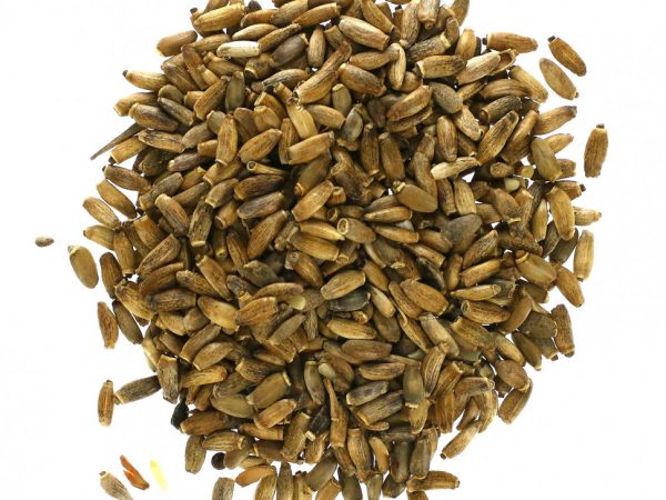 Starwest Botanicals, Цельные семена органической расторопши, 453,6 г (1 фунт)