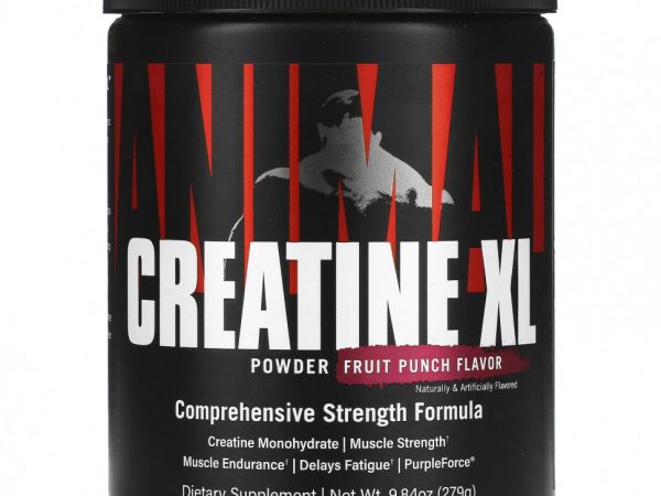 Animal, Creatine XL, фруктовый пунш, 279 г (9,84 унции)