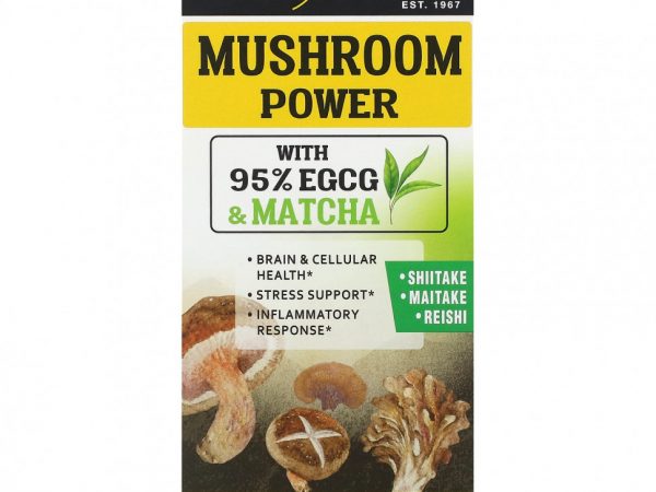 Mason Natural, Mushroom Power, 60 таблеток