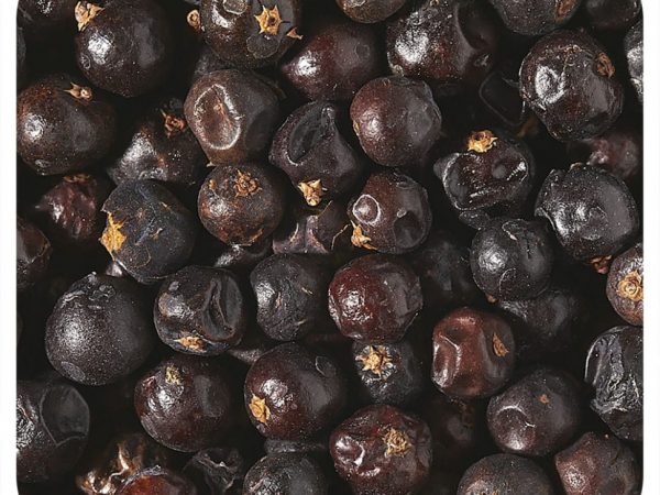 Starwest Botanicals, Органические ягоды можжевельника, 453,6 г (1 фунт)