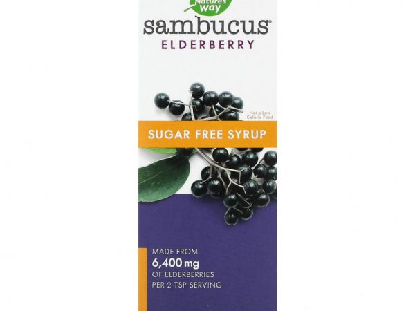 Nature's Way, Sambucus, стандартизированный экстракт бузины, без сахара, 8 жидких унций (240 мл)