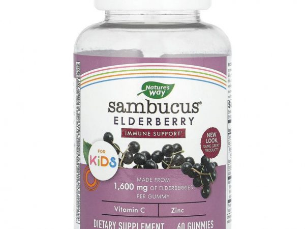 Nature's Way, Sambucus, стандартизированный экстракт бузины для детей, 60 жевательных конфет
