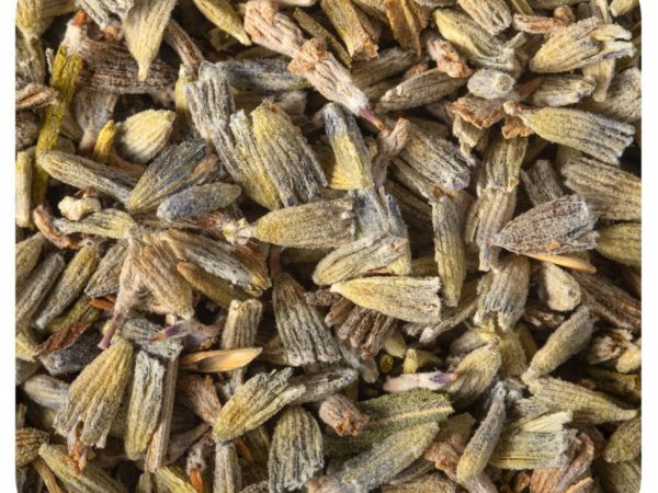 Starwest Botanicals, Экстра органические цветы лаванды, 453,6 г (1 фунт)