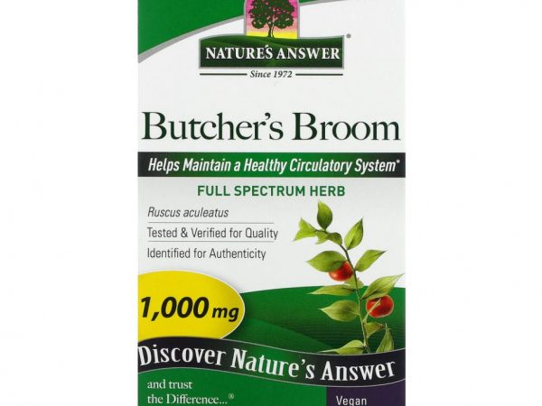 Nature's Answer, иглица колючая, растение полного спектра, 500 мг, 90 вегетарианских капсул