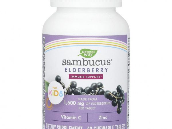 Nature's Way, Sambucus, стандартизированная бузина для детей, 40 жевательных таблеток