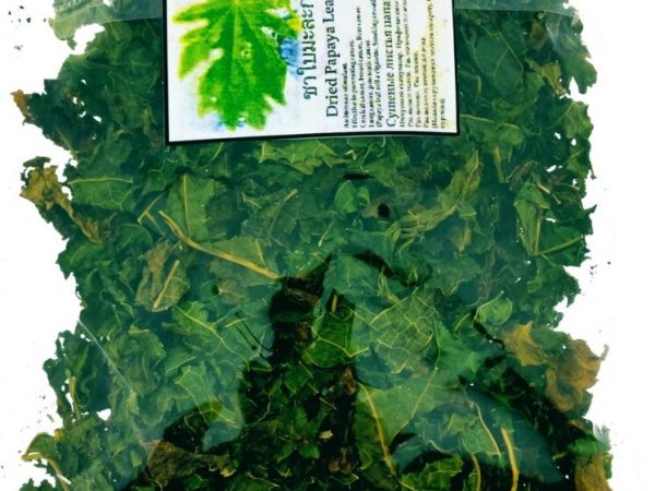 Чай из листьев Папайи для чистки лимфы и от раковых заболеваний Dried Papaya Leaf Tea, 50 гр., Таиланд