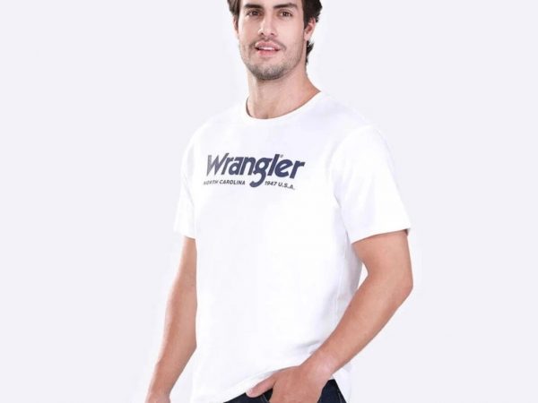 Футболка мужская T-Shirt Wrangler Regular Affordable, модель WR S523MTSSF19 (оригинал) L