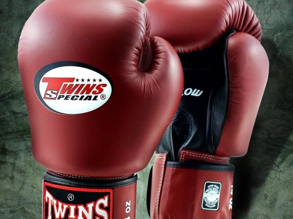 Перчатки боксерские Twins Special BGVLA-2, 10 oz, Таиланд