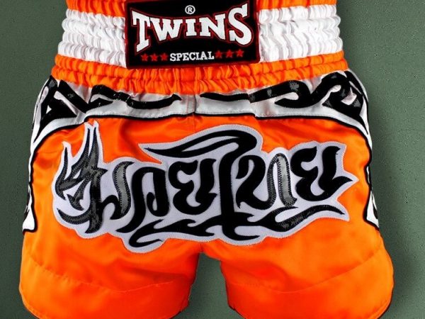 Шорты Twins Special NTBS-156, XL, Таиланд