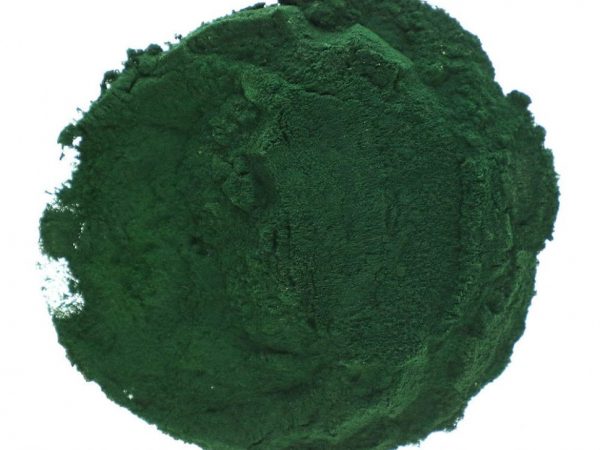 Starwest Botanicals, органический порошок из спирулины, 453,6 г (1 фунт)