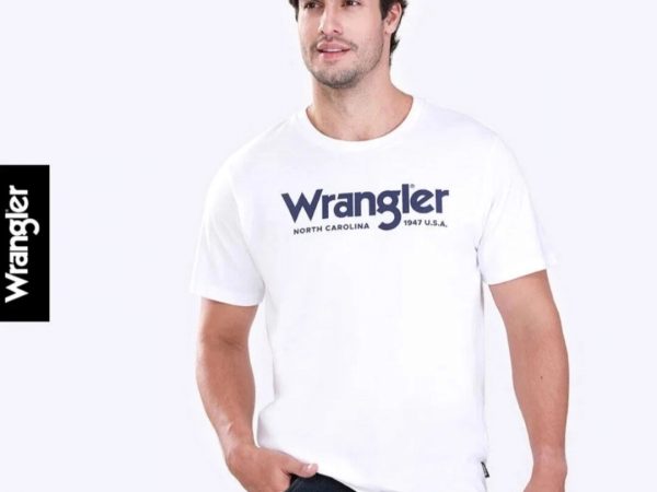 Футболка мужская T-Shirt Wrangler Regular Affordable, модель WR S523MTSSF19 (оригинал)