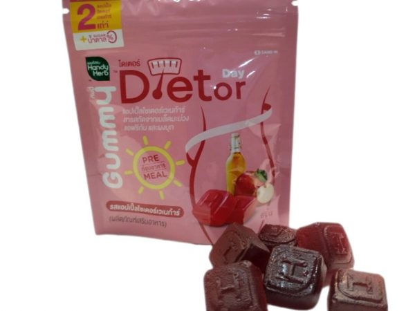 Жевательные пастилки для стройности и снижения веса – Dietor Day от Handy Herb, 6 шт.