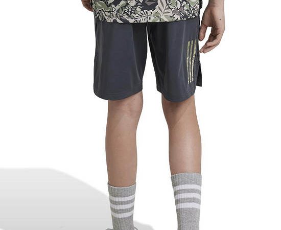 ADIDAS KIDS Boy Kids Shorts Disney Lion King Black Watch