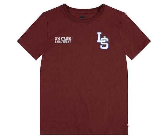 LEVI'S KIDS Boy Toddler Tee Short Sleeves Levis Spirit R9G-Fired Brick